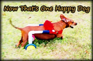 Good exercise is essential in the healing process!