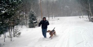 Riley the Airedale in the snow playing with Dad!