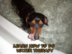 How to do hydro therapy at home!