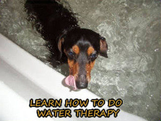 Water Therapy