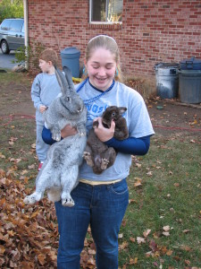 We build carts for rabbits of all sizes! LIcorice is a Flemish giant.