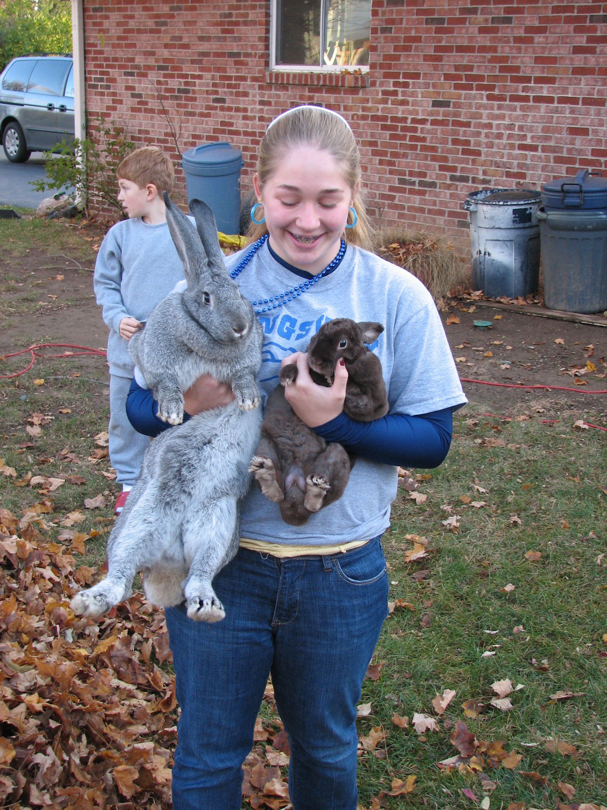 Flemish Giant Color Chart