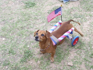 Vienna on the fourth of July!