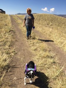 Nike and I on the trail of those pesky antelope! One visited our camp in the morning and she was determined to track him down! (see next photo)