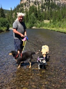 Larry in the Little Sunlight river with Molly, Ellie and of course, Nike our little cart dog! P.S. They all crossed without help!